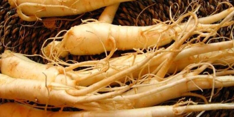 جذر الجينسنغ قد يزيد من الفعالية